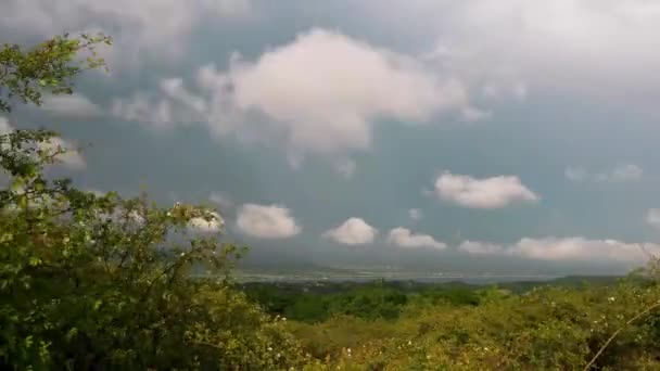 Bella Vista Della Foresta Nuvole Cielo — Video Stock