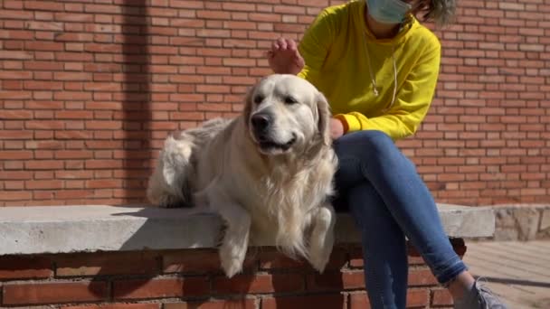 Footage White Caucasian Woman Petting Her Dog — стоковое видео