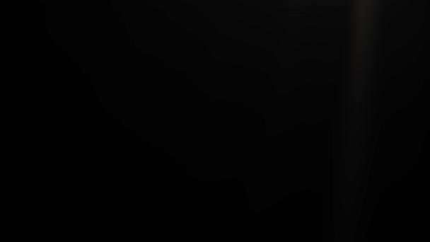 Абстрактний Фон Монохромна Текстура Чорно Біла Текстурована Стіна — стокове відео
