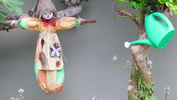 무화과나무에 손으로 허수아비 — 비디오