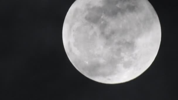 Lua Cheia Céu Noturno — Vídeo de Stock