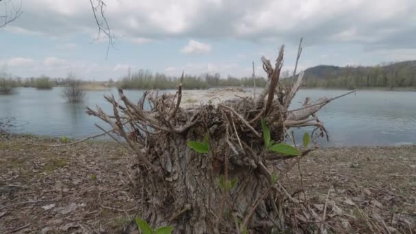 Bellissimo Paesaggio Con Fiume Lago Sullo Sfondo — Video Stock