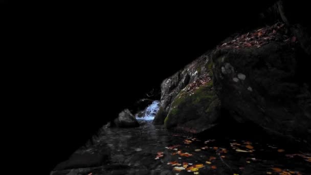 Gyönyörű Vízesés Erdőben — Stock videók