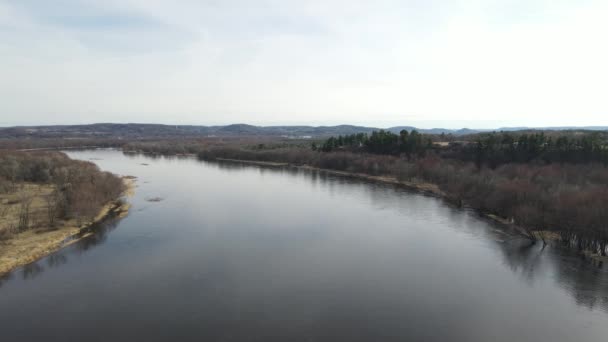 Piękny Strzał Powietrza Rzeki Chippewa Durand Wisconsin Otoczony Lasem Bez — Wideo stockowe