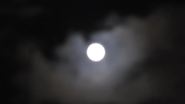Volle Maan Aan Nachtelijke Hemel — Stockvideo
