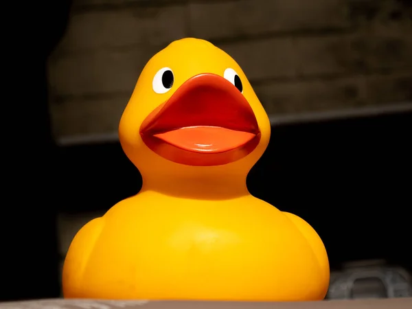 Giant Plastic Duck Sunshine — Stock Photo, Image