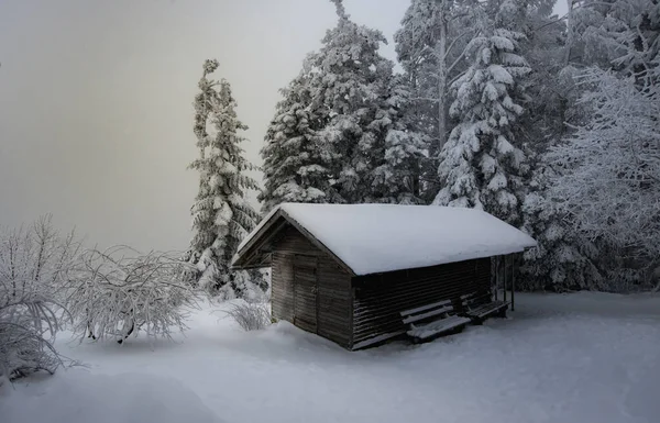 Śnieżny Domek Ponury Dzień Zimą — Zdjęcie stockowe