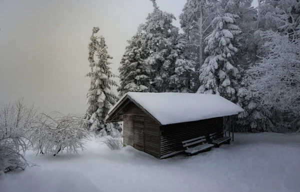 Una Casa Campo Nevada Día Sombrío Invierno —  Fotos de Stock