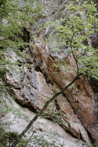 Uma Fotografia Vertical Paisagens Rochosas Naturais Parque Nacional Triglav Eslovénia — Fotografia de Stock
