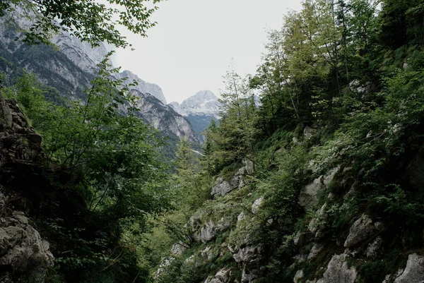 Magnifique Paysage Naturel Dans Parc National Triglav Slovénie — Photo