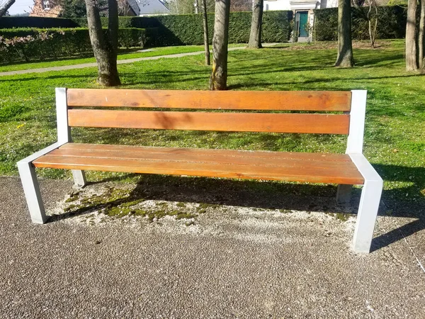 Een Steeg Met Bomen Het Voorjaar — Stockfoto