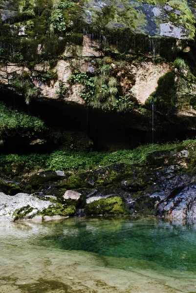 Vertikální Záběr Přírodní Scenérie Národním Parku Triglav Slovinsko — Stock fotografie