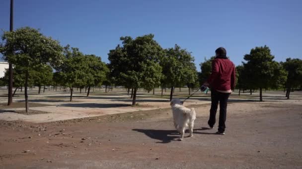 Hombre Hispano Con Una Máscara Facial Caminando Con Golden Retriever — Vídeos de Stock