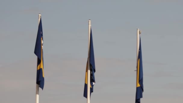 Les Trois Pôles Avec Des Drapeaux Bosnie Herzégovine — Video