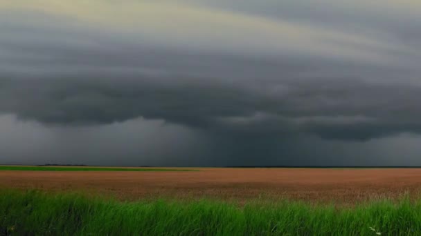 Prachtig Uitzicht Het Zomerlandschap — Stockvideo