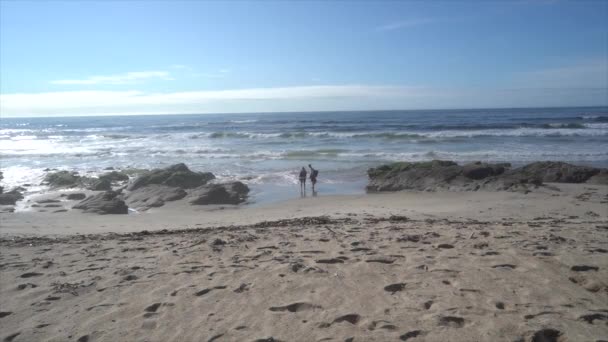 Muž Kráčející Pláži — Stock video