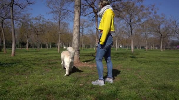 Beyaz Golden Retriever Iyla Parkta Yürüyen Genç Bir Dişi — Stok video