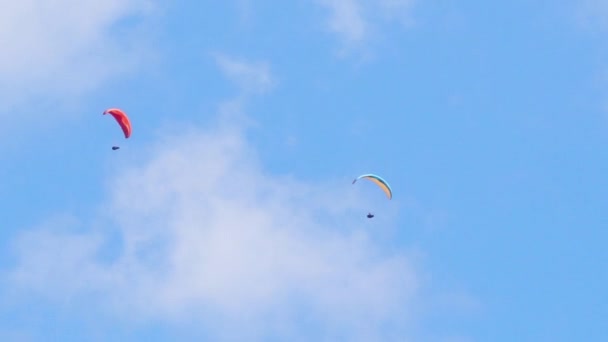 Gleitschirm Fliegt Den Himmel — Stockvideo