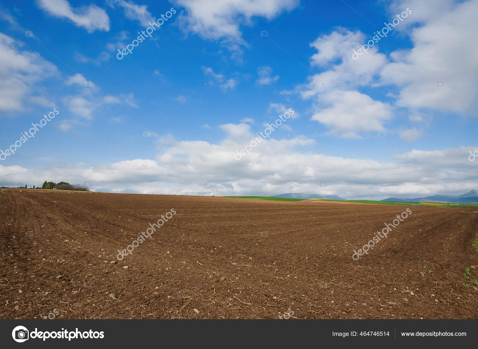 Agriculture Plowed Field Ready Grow Summer Plants Cotton Corn