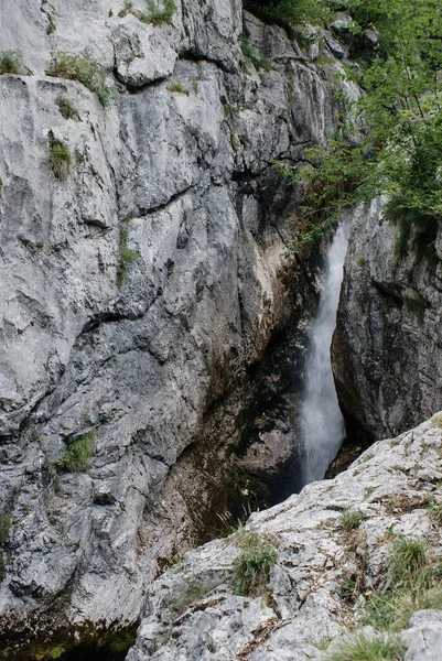 Vertikal Bild Naturen Triglav National Park Slovenien — Stockfoto