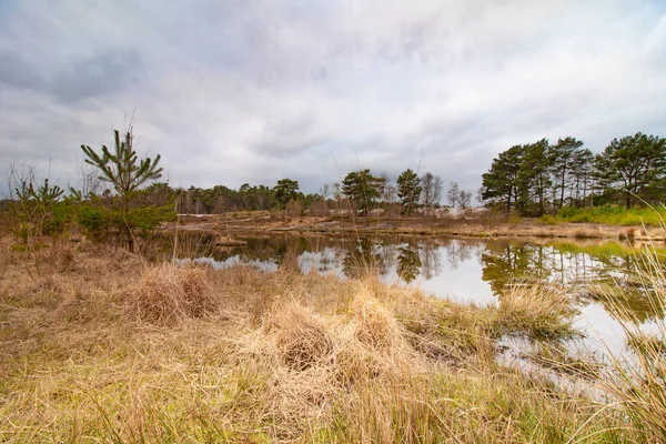 曇った日の草原の川の風景 — ストック写真