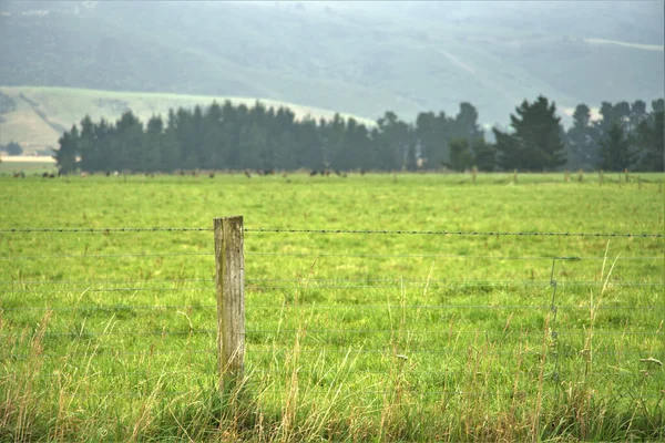 Arame Farpado Proteger Vale Rural — Fotografia de Stock