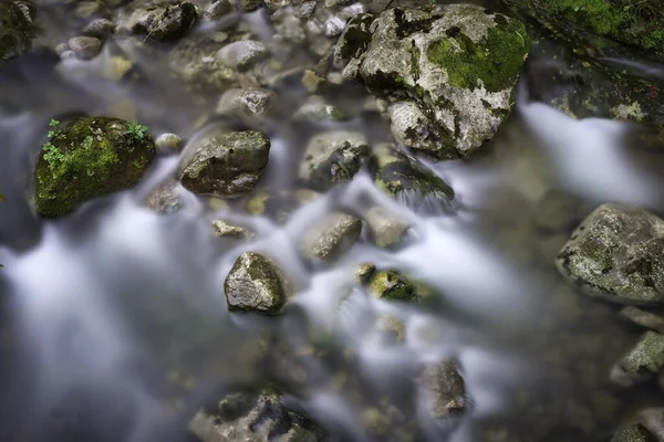Schöne Aufnahme Eines Fließenden Baches Einem Wald — Stockfoto