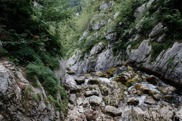 Beautiful Shot Natural Scenery Triglav National Park Slovenia — Stock Photo, Image