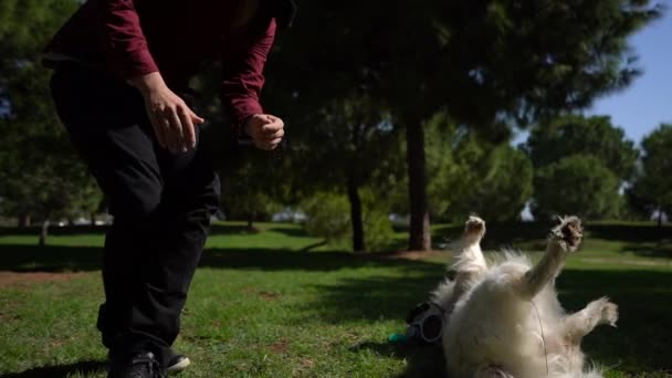 Ein Junger Mann Maske Lehrt Einem Park Tricks Und Spielt — Stockvideo