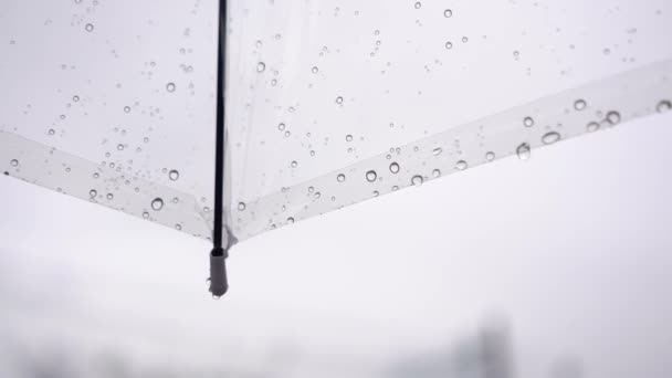 雨天雨伞的透明表面上的水滴 — 图库视频影像