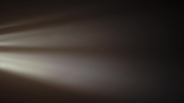 Абстрактний Фон Монохромна Текстура Чорно Білий Текстурований Візерунок — стокове відео