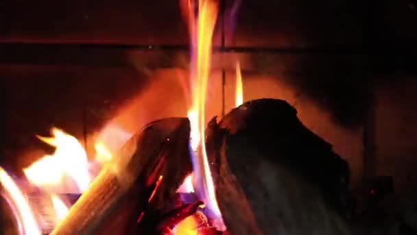 夜の炎の火 薪を燃やす — ストック動画