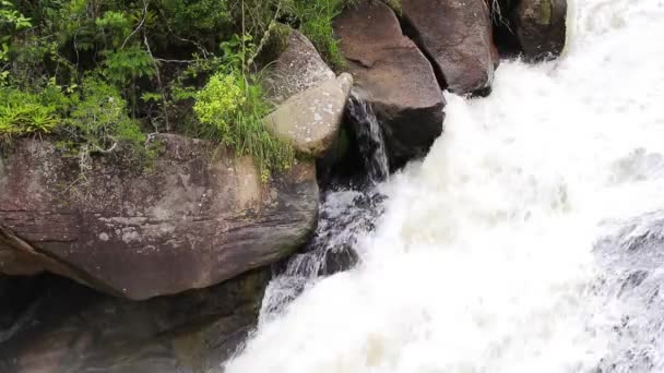 Cachoeira Sobre Rochas Floresta Fundo — Vídeo de Stock