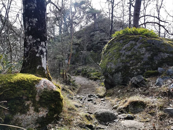 Rekkevik Norveç Ten Güzel Bir Poz — Stok fotoğraf