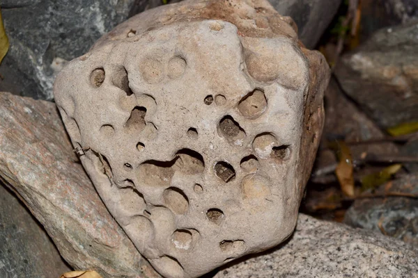 Closeup Large Hag Rock Holes Caused Ocean — Stock Photo, Image