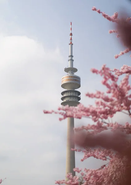 Esta Torre Munique Alemanha Durante Primavera Com Flores Cereja Este — Fotografia de Stock