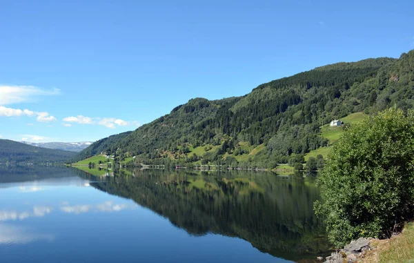 Beau Plan Lac Montagne Avec Des Arbres — Photo