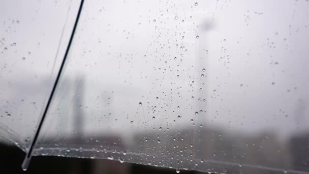 Krople Wody Przezroczystej Powierzchni Parasola Zewnątrz Deszczowe Dni — Wideo stockowe