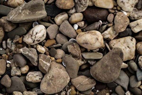 Primer Plano Varias Rocas Guijarros — Foto de Stock