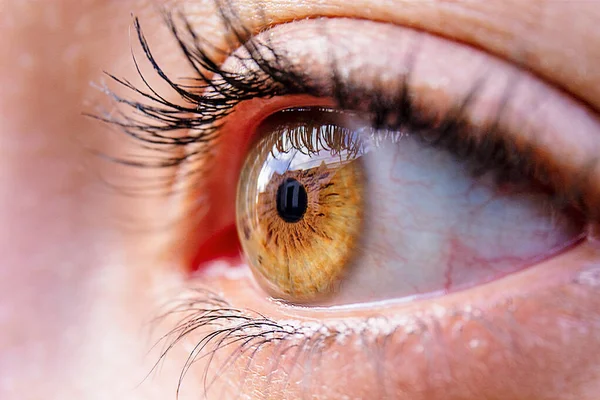人間の茶色の目のクローズアップショット — ストック写真