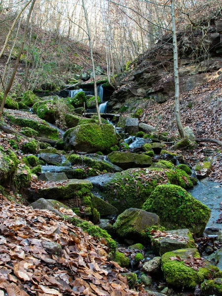 苔むした岩を覆う小さな滝の垂直ショット — ストック写真