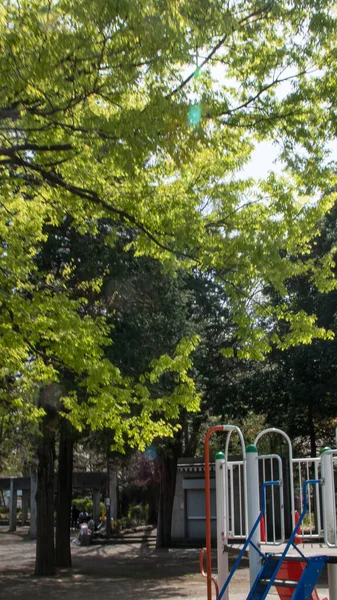 Tiro Vertical Playground Parque Cheio Árvores — Fotografia de Stock