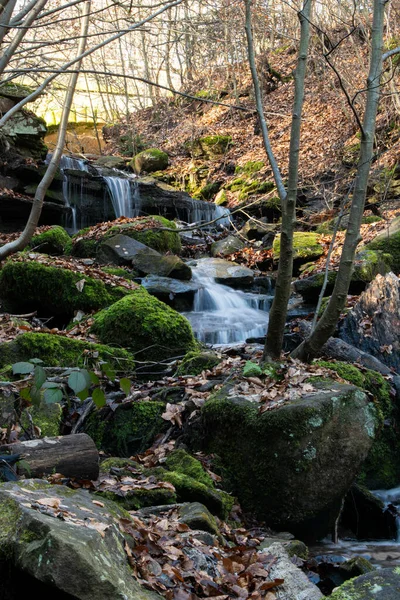 苔むした岩を覆う小さな滝の垂直ショット — ストック写真