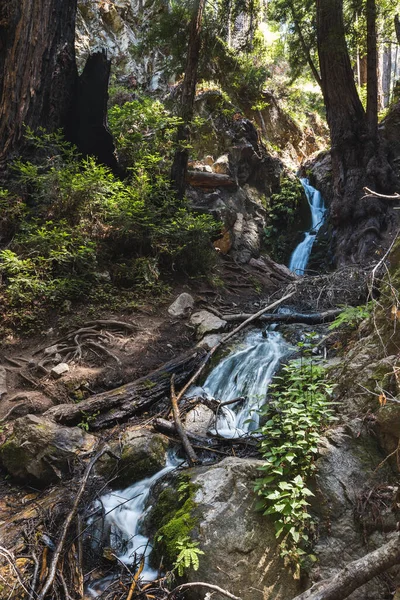 Die Canyon Falls Big Sur Kalifornien — Stockfoto