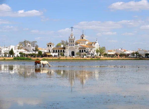 Rocio Sanctuaire Notre Dame Avec Des Chevaux Premier Plan — Photo