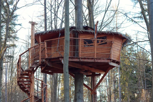 Wooden Treehouse Forest Brno Czech Republic — 스톡 사진