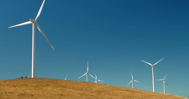 View Rotating Wind Turbines Field Sunny Day — Stock Video