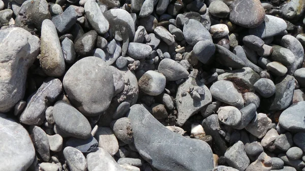 Una Vista Superior Guijarros Rocas Grises Húmedas Secas Para Fondo — Foto de Stock