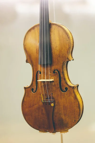 Primo Piano Violino Uno Sfondo Sfocato — Foto Stock
