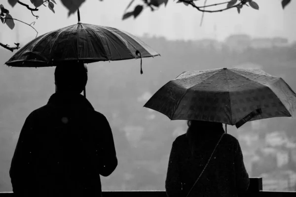 Gråskalebild Hane Och Hona Som Står Med Paraplyer Regnet Dimmig — Stockfoto